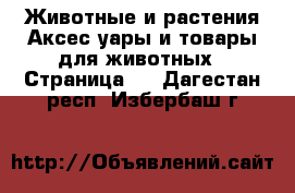 Животные и растения Аксесcуары и товары для животных - Страница 3 . Дагестан респ.,Избербаш г.